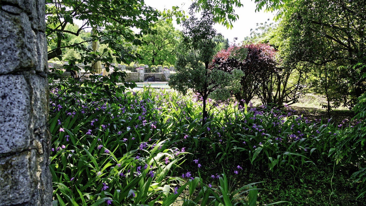 20250523-124152•Villa Taranto•Verbania•Piedmont•Italy